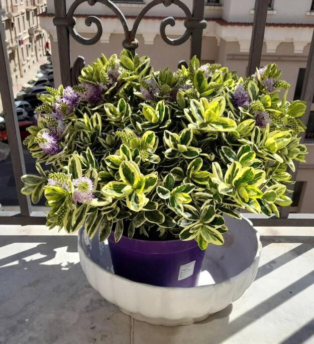 Casa Jole, Appartamento In Centro Bari Exterior foto